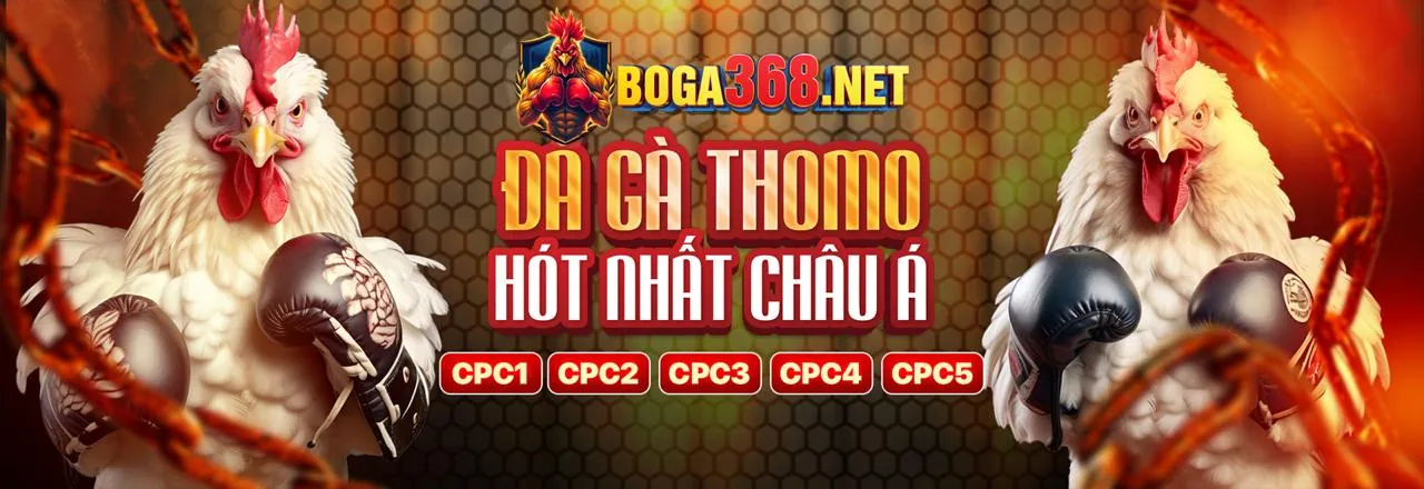 Đá gà trực tuyến kịch tính tại 78win01 Login